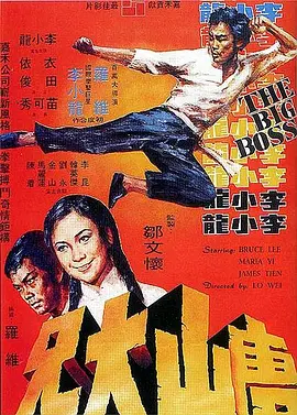 唐山大兄[电影解说]