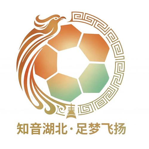 湖北省城市足球联赛 仙桃黄鳝队VS黄石美尔雅队20260718