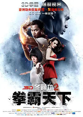 冬荫功2：拳霸天下[电影解说]