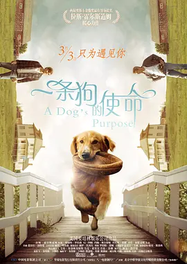 一条狗的使命[电影解说]