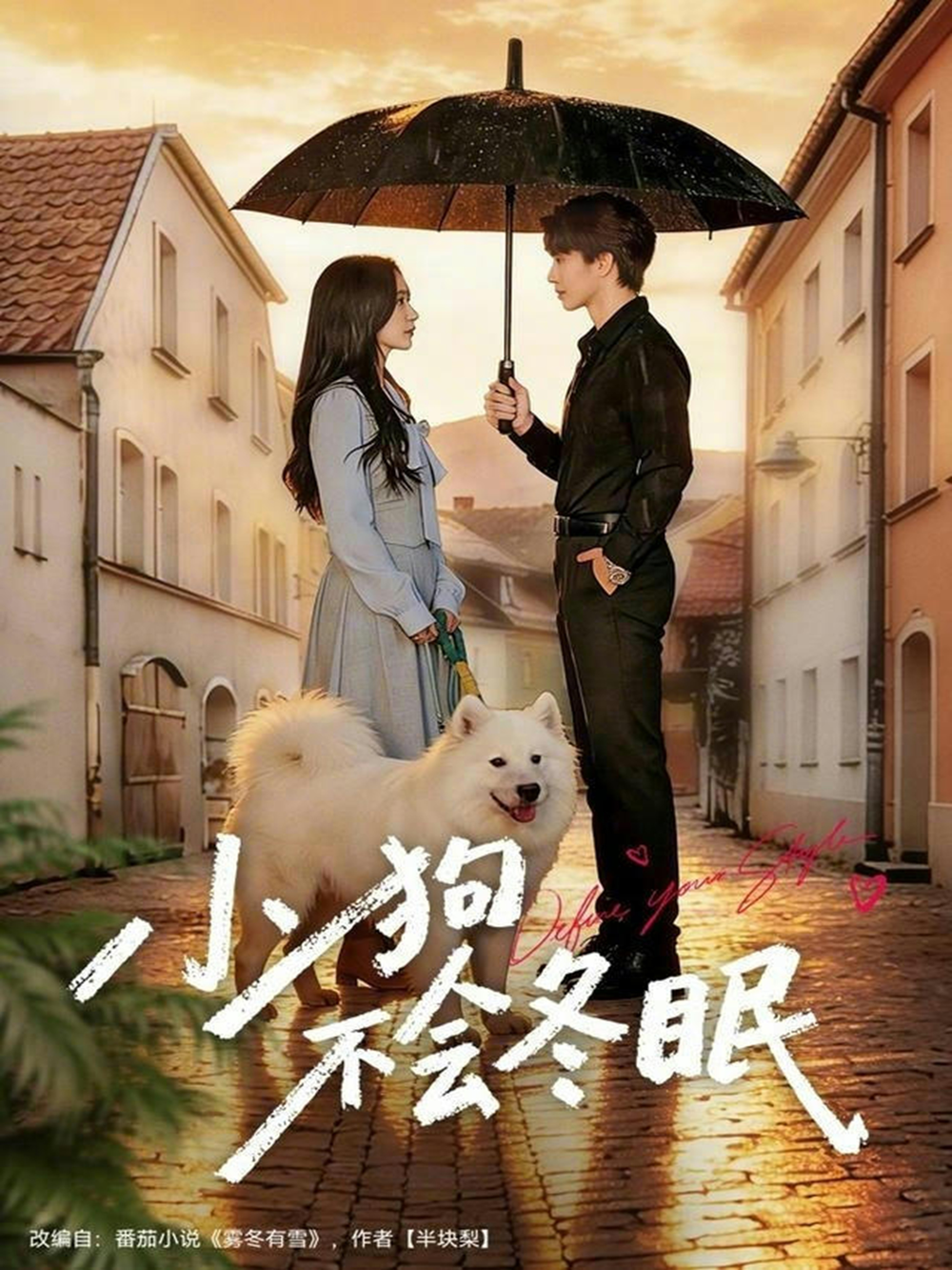 小狗不会冬眠