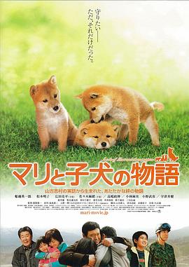 爱犬的奇迹【影视解说】