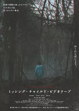 失踪儿童录像带[电影解说]