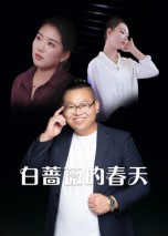 白蔷薇的春天