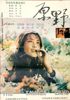 原野1981[电影解说]